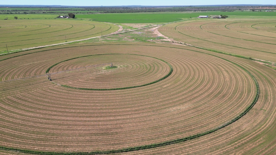 0 Bedroom Property for Sale in Douglas Rural Northern Cape